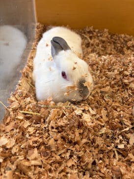 Moff アニマル カフェ イーアス 高尾店に投稿された画像（2025/8/22）