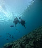 武藤潜水に投稿された画像（2025/8/22）