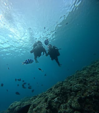 武藤潜水に投稿された画像（2025/8/22）