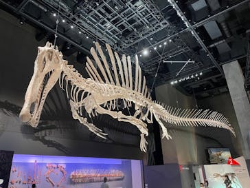 福井県立恐竜博物館に投稿された画像（2025/8/22）