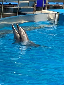 マクセル アクアパーク品川に投稿された画像（2025/8/22）