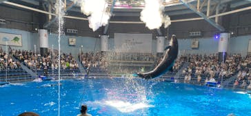 マクセル アクアパーク品川に投稿された画像（2025/8/22）