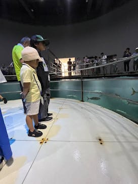 城崎マリンワールドに投稿された画像（2025/8/22）