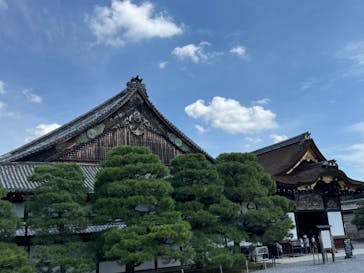 元離宮二条城に投稿された画像（2025/8/22）