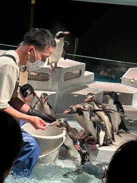 AOAO SAPPOROに投稿された画像（2025/8/22）