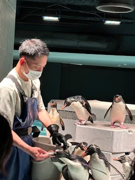 AOAO SAPPOROに投稿された画像（2025/8/22）