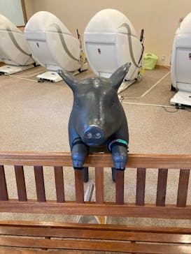 天然温泉 花鳥風月に投稿された画像（2025/8/22）