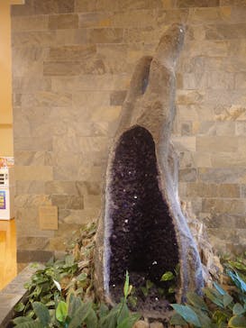 豊島園 庭の湯に投稿された画像（2025/8/22）