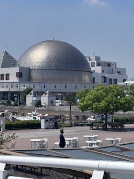 名古屋港水族館に投稿された画像（2025/8/22）