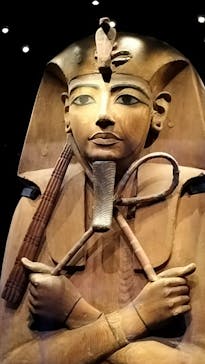 ACN ラムセス大王展 ファラオたちの黄金に投稿された画像（2025/8/22）