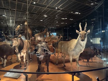 国立科学博物館に投稿された画像（2025/8/22）