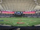 TOKYO DOME TOUR（東京ドーム）に投稿された画像（2025/8/22）