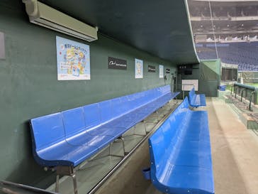 TOKYO DOME TOUR（東京ドーム）に投稿された画像（2025/8/22）