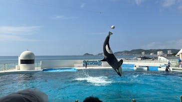 鴨川シーワールドに投稿された画像（2025/8/22）