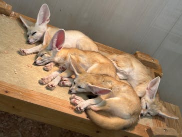 アニタッチ MARK IS 静岡に投稿された画像（2025/8/22）