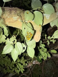 SUNSHINE MARIN 宮古島に投稿された画像（2025/8/22）