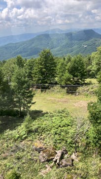 北八ヶ岳ロープウェイに投稿された画像（2025/8/22）