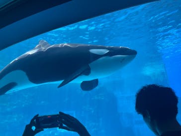 名古屋港水族館に投稿された画像（2025/8/22）