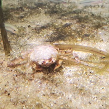 仙台うみの杜水族館に投稿された画像（2025/8/22）
