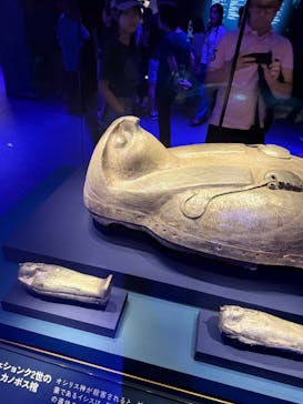 ACN ラムセス大王展 ファラオたちの黄金に投稿された画像（2025/8/22）
