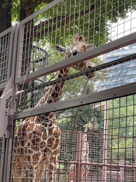 恩賜上野動物園に投稿された画像（2025/8/22）