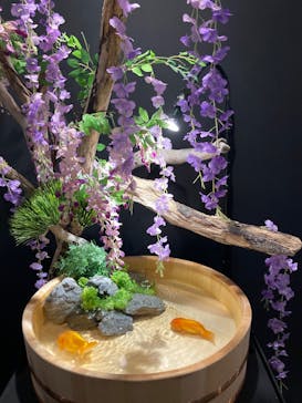 錦鯉・金魚アクアリウム in ときメッセに投稿された画像（2025/8/22）