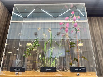 滋賀県立琵琶湖博物館に投稿された画像（2025/8/22）