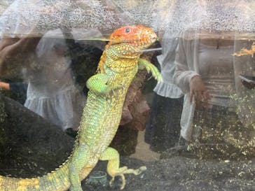 恩賜上野動物園に投稿された画像（2025/8/22）