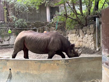 恩賜上野動物園に投稿された画像（2025/8/22）