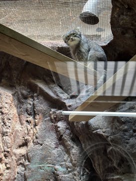 恩賜上野動物園に投稿された画像（2025/8/22）