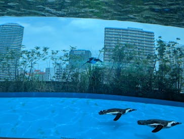 サンシャイン水族館に投稿された画像（2025/8/22）