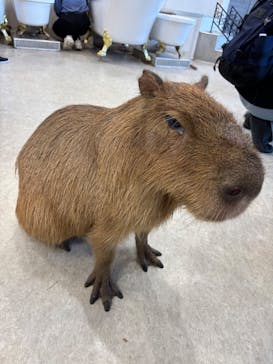 アニタッチみなとみらいに投稿された画像（2025/8/22）