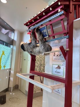 アニタッチみなとみらいに投稿された画像（2025/8/22）