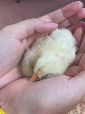 東武動物公園に投稿された画像（2025/8/22）