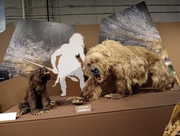 特別展「氷河期展 〜人類が見た4万年前の世界〜」（国立科学博物館）に投稿された画像（2025/8/22）