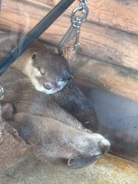 伊豆・三津シーパラダイスに投稿された画像（2025/8/22）