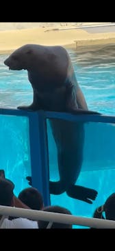 伊豆・三津シーパラダイスに投稿された画像（2025/8/22）