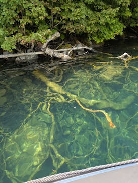 リブパイオニアに投稿された画像（2025/8/22）