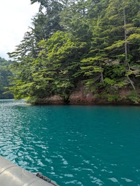 リブパイオニアに投稿された画像（2025/8/22）