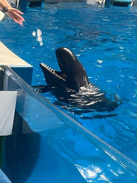 マクセル アクアパーク品川に投稿された画像（2025/8/22）