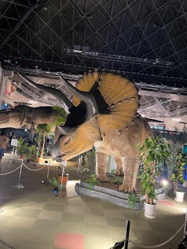 京都 大恐竜博 ～動く！吠える！暴れる！大迫力の巨大恐竜がやってくる～に投稿された画像（2025/8/22）
