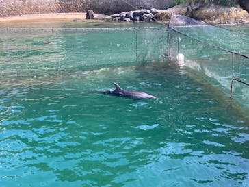 伊豆・三津シーパラダイスに投稿された画像（2025/8/22）