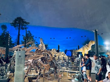 福井県立恐竜博物館に投稿された画像（2025/8/22）