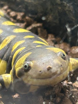 AOAO SAPPOROに投稿された画像（2025/8/22）