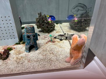 AOAO SAPPOROに投稿された画像（2025/8/22）