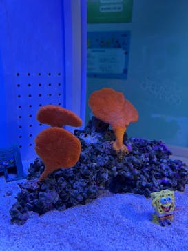 AOAO SAPPOROに投稿された画像（2025/8/22）