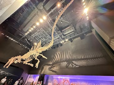 福井県立恐竜博物館に投稿された画像（2025/8/22）