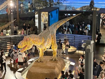 福井県立恐竜博物館に投稿された画像（2025/8/22）