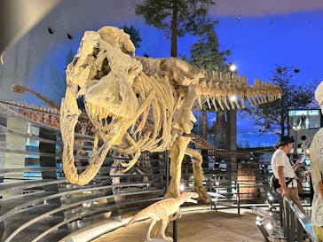 福井県立恐竜博物館に投稿された画像（2025/8/22）