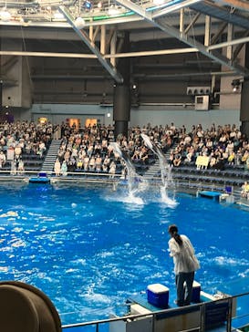 マクセル アクアパーク品川に投稿された画像（2025/8/22）